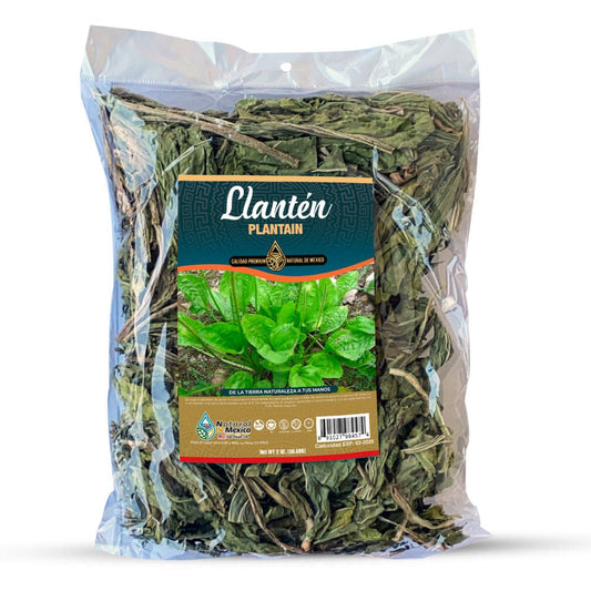 Llanten Hierba, Plantain Herb 4 oz, Natural de Mexico - Tierra Naturaleza Shop